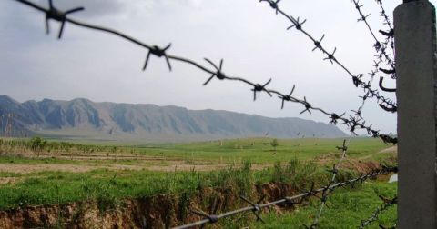 Зэков хотят мобилизовать в России