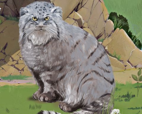 На связи с природой: клиенты Tele2 смогут позвонить диким животным