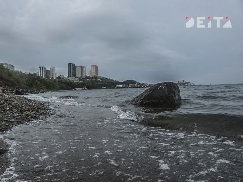 Не только фекалиями, но и гарью запахло в Первореченском районе Владивостока