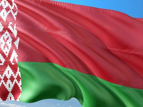 Польша и Литва готовят госпереворот в Беларуси – МВД