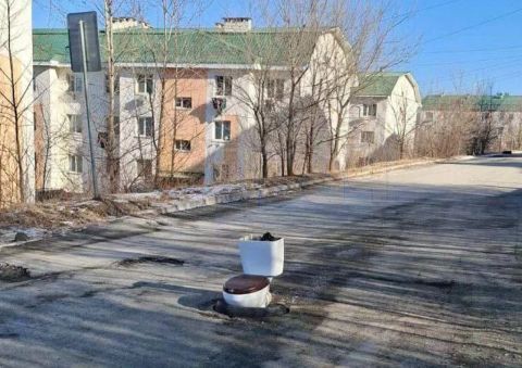 Прокуратура наказала мэра Артема за унитаз на дороге