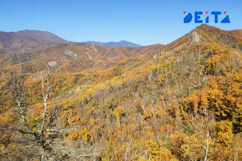Границы меняют на Дальнем Востоке