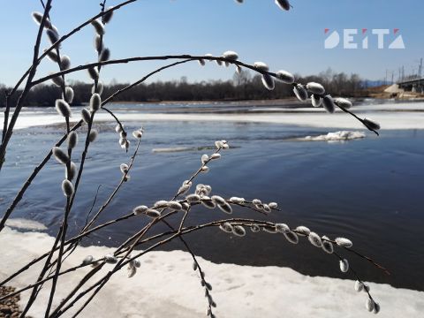 Температура ниже климатической нормы установится в Приморье