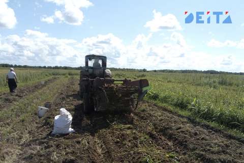 Российские военные помогают посевной на Украине