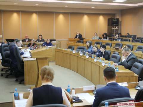 Комплексное развитие территорий обсудили приморские депутаты