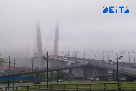 Туман накроет Приморье на следующей неделе