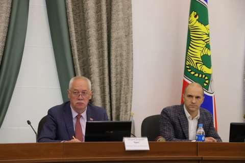 Комитет Думы Владивостока поддержал корректировку городского бюджета по увеличению расходов на ремонт дорог и благоустройство