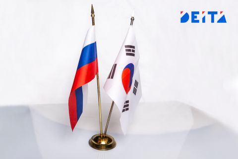Россияне нашли способ помирить две Кореи