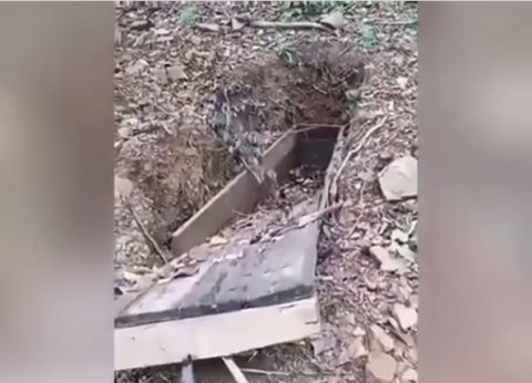 Видео с кладбища набирает популярность в Сети