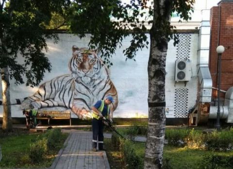 Свыше 300 объектов в Приморском крае благоустроили в текущем году