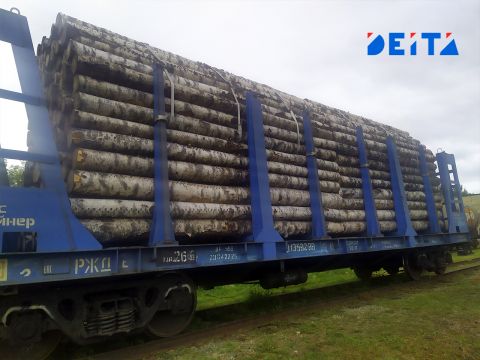 Российский парламент не поддержал законопроект об охране лесфонда