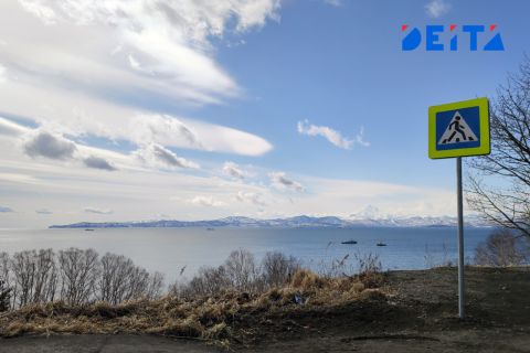 Бесплатная горбуша вернётся на Камчатку