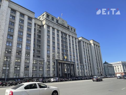 В Госдуме назвали роль ИИ в принятии законов