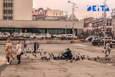 Владивостокцы разбираются с коммерсантами, оккупировавшими бомбоубежище в центре города