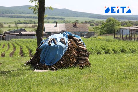 Упростит все: новый земельный закон принят в Госдуме