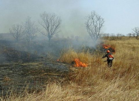 Пожар подошёл к дачным товариществам под Новым Владивостоком