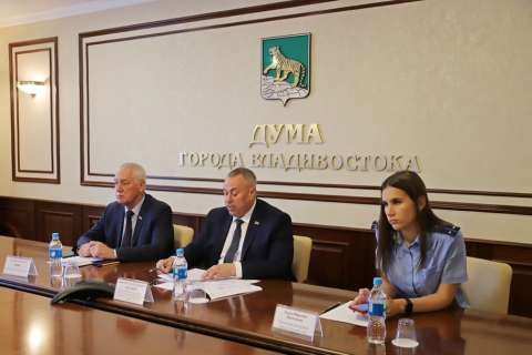 Комитет рекомендовал Думе Владивостока назначить выборы депутатов