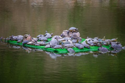 Защитить от вандалов намерены озеро на Сафонова во Владивостоке