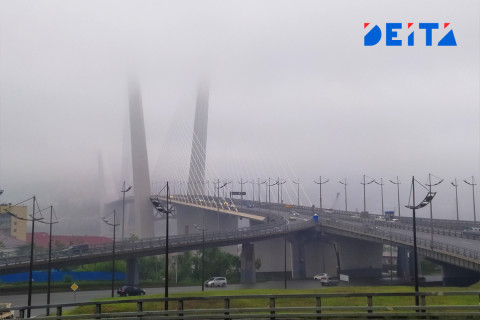 На новой неделе в Приморье могут пройти небольшие дожди