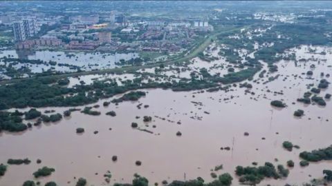 Морские звезды завелись в Уссурийском море