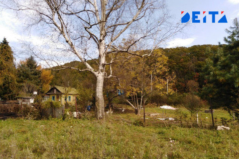 Дальневосточный гектар можно будет обменять, но не на деньги