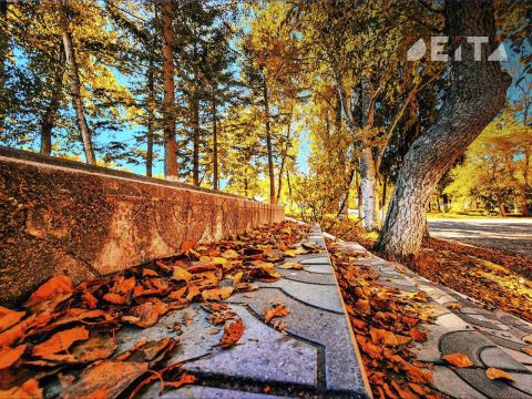 В Приморье ниже нуля: поздняя осень заглянула в край