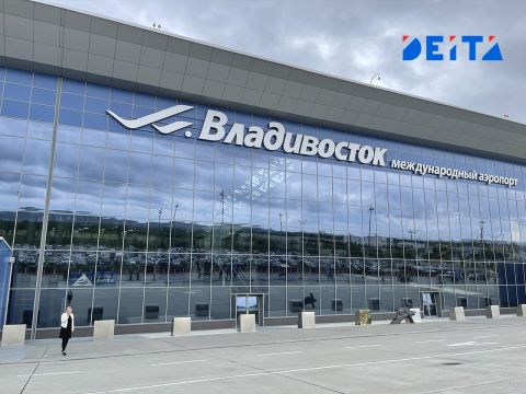 Птицы победили Airbus: ущерб заплатит аэропорт Владивостока