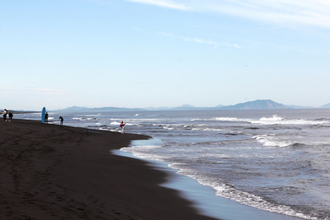 Новые токсичные водоросли обнаружили у берегов Камчатки