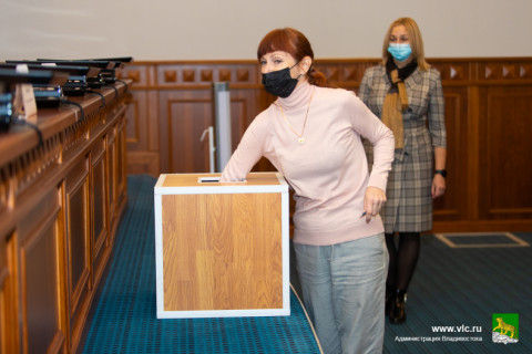 Среди многодетных семей Владивостока распределили земельные участки