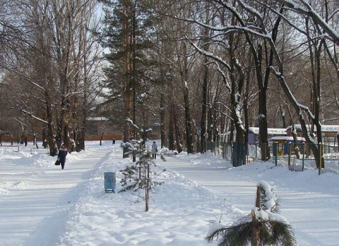 Слегка потеплеет в Приморье в среду