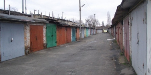 Бешеный зверь проник в гараж дальневосточника