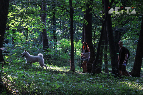 Место для выгула собак появится скоро в Уссурийске