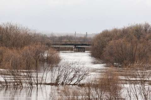 Половодье: большая вода пришла в Приморье