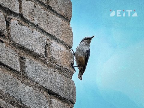 В Приморье распогодится в среду