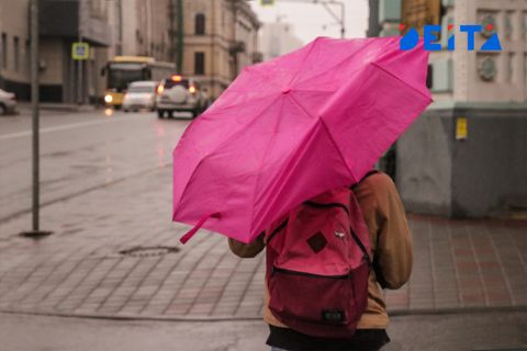 Два новых циклона несут дожди Приморью