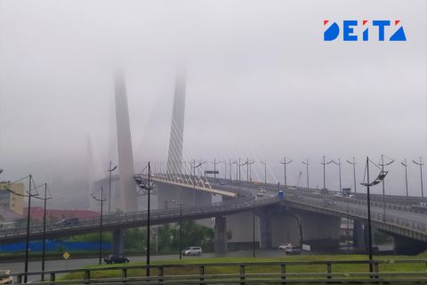В Приморье будет сыро и туманно
