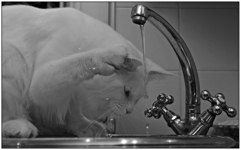Краткосрочные отключения воды ожидают жителей Владивостока