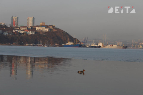 Ветер, морось и туман: синоптики уточнили прогноз погоды