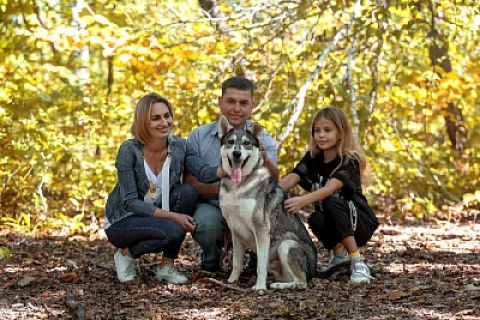 Жители Владивостока с удовольствием помогают бездомным животным