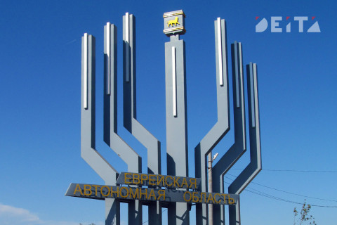 Глава ЕАО просит помощи у Путина