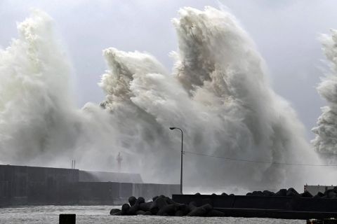 Месть за тайфун: монстр из Уссурийска напал на москвичей
