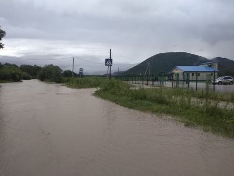 Около 40 тысяч гектаров посевов погибли в Приморье из-за непогоды