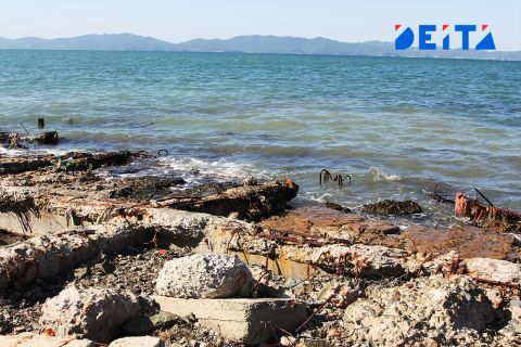 Стоками неизвестного происхождения загадили морскую акваторию в пригороде Владивостока