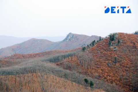 Неделя в Приморье начнется с похолодания