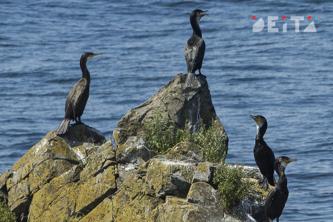 Чиновники разрешат рыбачить в морском заповеднике только себе