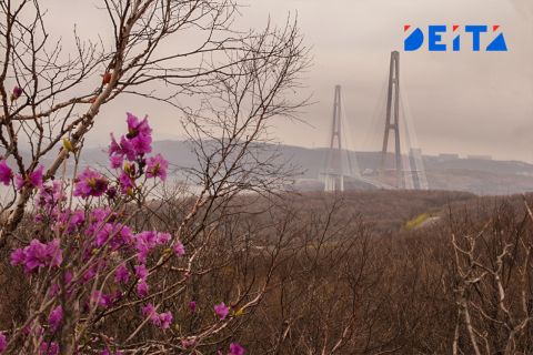 Российский олигарх прописался в офшоре на острове Русский