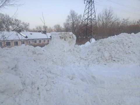 Труды детей-инвалидов уничтожили коммунальщики Владивостока