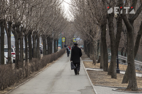 На Дальнем Востоке обнаружили тигра в городе, но это не точно