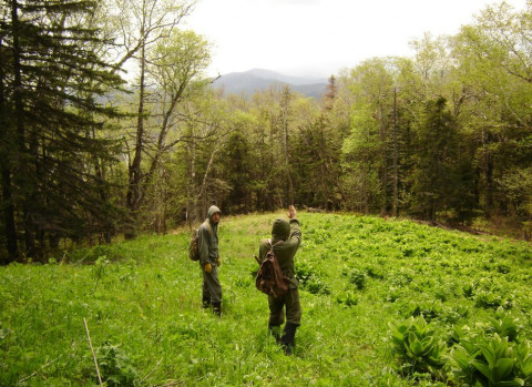 В Минприроды рассказали, как законно собирать природные ресурсы