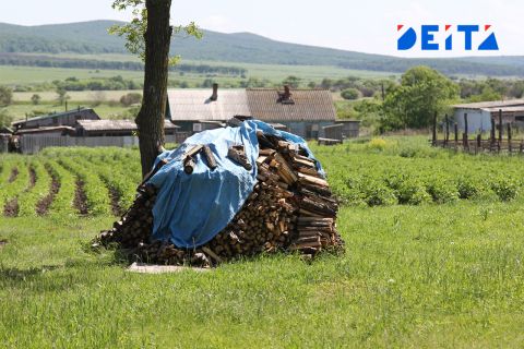Животных промаркируют в России
